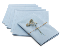 Set di 6 tovaglioli 42x42cm Loneta 133-35