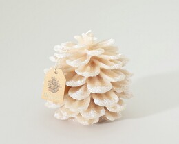 Candela Pine Frost II 13x13x15 cm